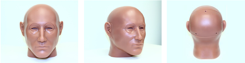 Figure 4: Modular Anatomical Head (Source: CFDRC).
