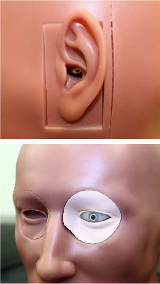 Figure 7: Pressure Sensors Mounted in the Ear at the Tympanic Membrane (Top) and Left Eye (Bottom) (Source: CFDRC).