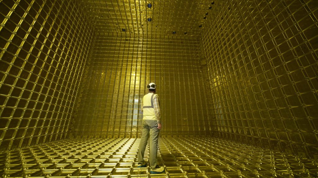 770-ton particle detector pictured above, called ProtoDUNE