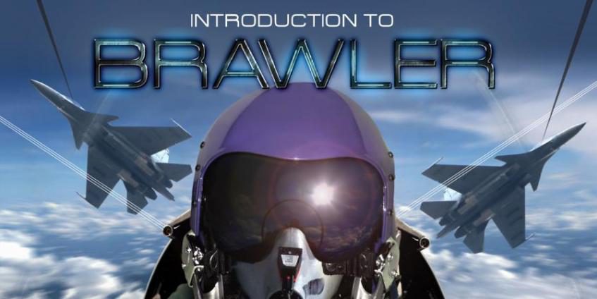 introduction-brawler-2020-training-course